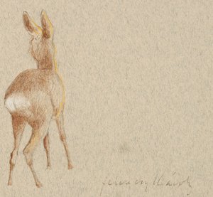ノロジカ 作： Károly Ferenczy